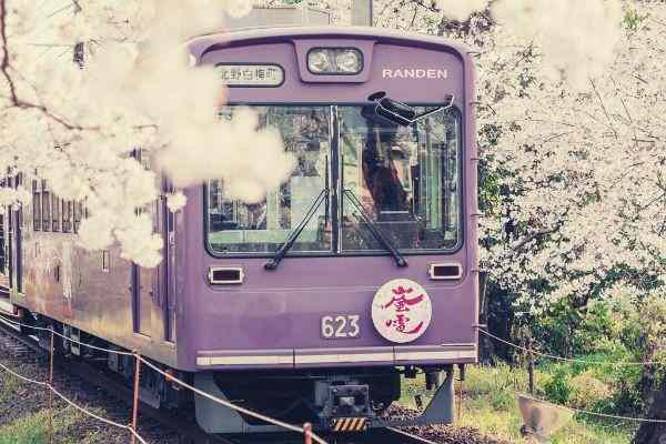 purple-cable-tram
