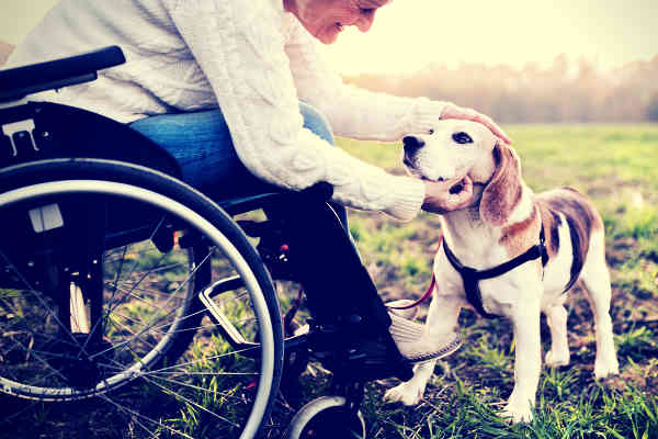 woman-in-wheelchair-caressing-a-dog